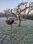 Roestige bloem