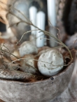 Troshanger ei, eggs, verweerd, sobere paasdecoratie, woonaccessoires, pasen, landelijke stijl wonen, landelijke woonaccessoires