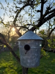 Vogelhuisjes Zink L