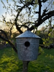 Vogelhuisje Zink XL