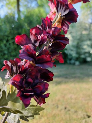 Brynxz Lupine 