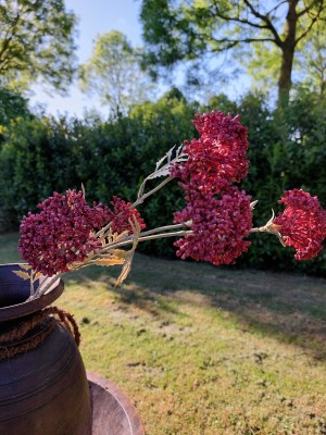 Brynxz zijden bloem sedum