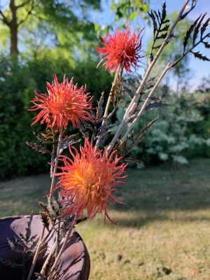 Brynxz zijden bloem Bohemian Flower 