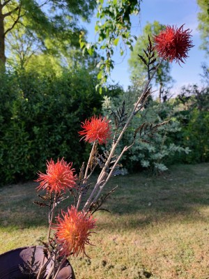Brynxz zijden bloem Bohemian Flower 