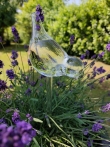 Bewateringsvogel glas