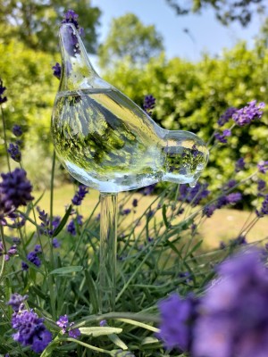 Bewateringsvogel glas