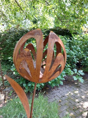 Roestige steker Tulp met
