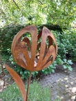 Roestige steker Tulp met