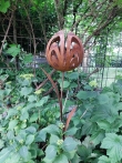 Roestige steker Tulp met bladeren 