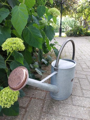 Zinken gieter