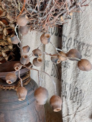 Brynxz Kunsttak Mespulus Brown 