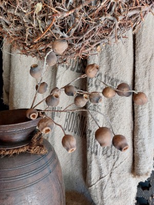 Brynxz Kunsttak Mespulus Brown 