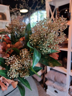 Kunst Skimmia 