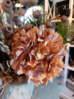 Brynxz hortensia mauve