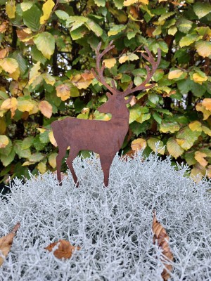 Roestige steker Rendier