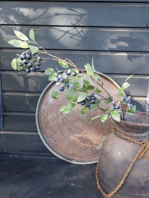 Brynxz Berry Leaf Blue