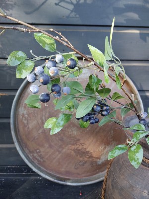 Brynxz Berry Leaf Blue