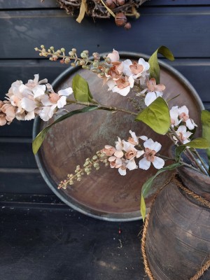 Brynxz Scharnierbloem