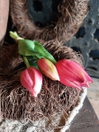 Kunst tulp roze/rood 25cm.