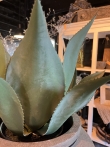 Agave kunstplant 
