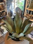 Agave kunstplant 