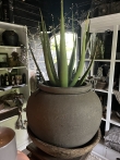 Aloë vera kunstplant 