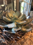 Echeveria kunstplant
