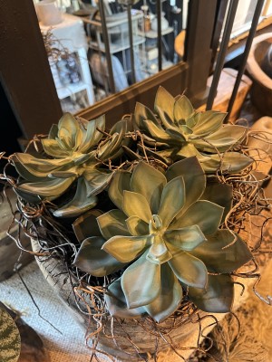 Echeveria kunstplant