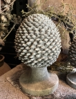 Dennenappel op voet L