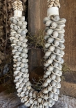 Schelpenketting XL 