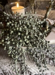 Kunst dadeltak groen