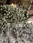 Kunst dadeltak groen