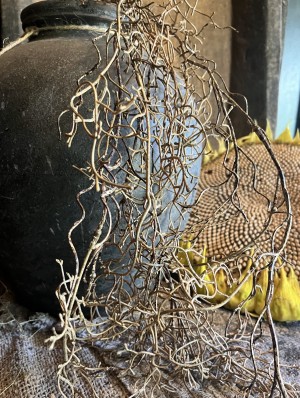 Kunst Tillandsia 