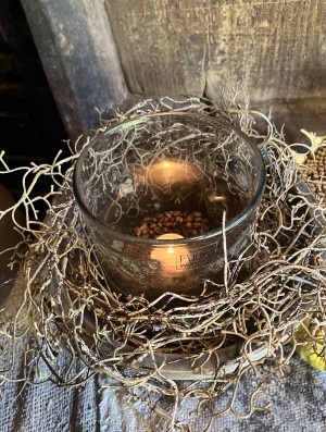 Kunst Tillandsia 