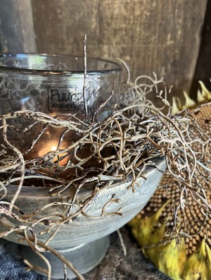 Kunst Tillandsia 
