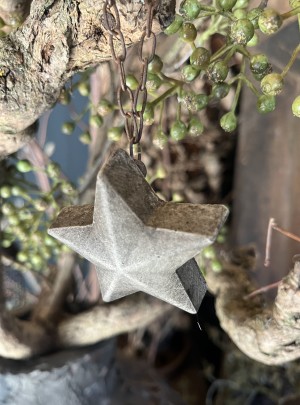 PMR hangornament ster