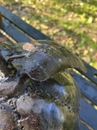 Pompoen van scrapmetal 